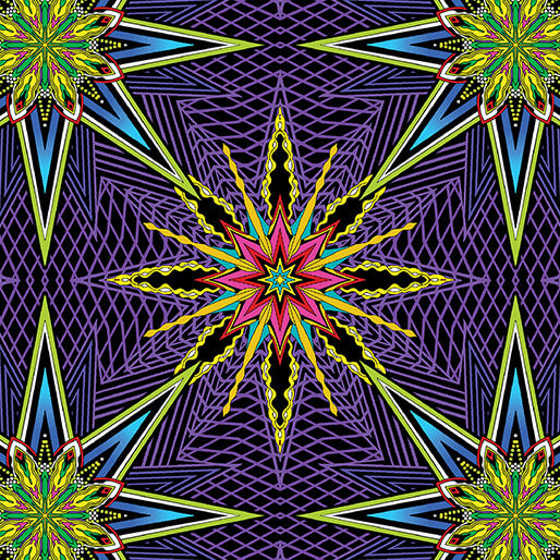 What If?- Purple/Multi Radio Star: Sold by the 1/2 Yard