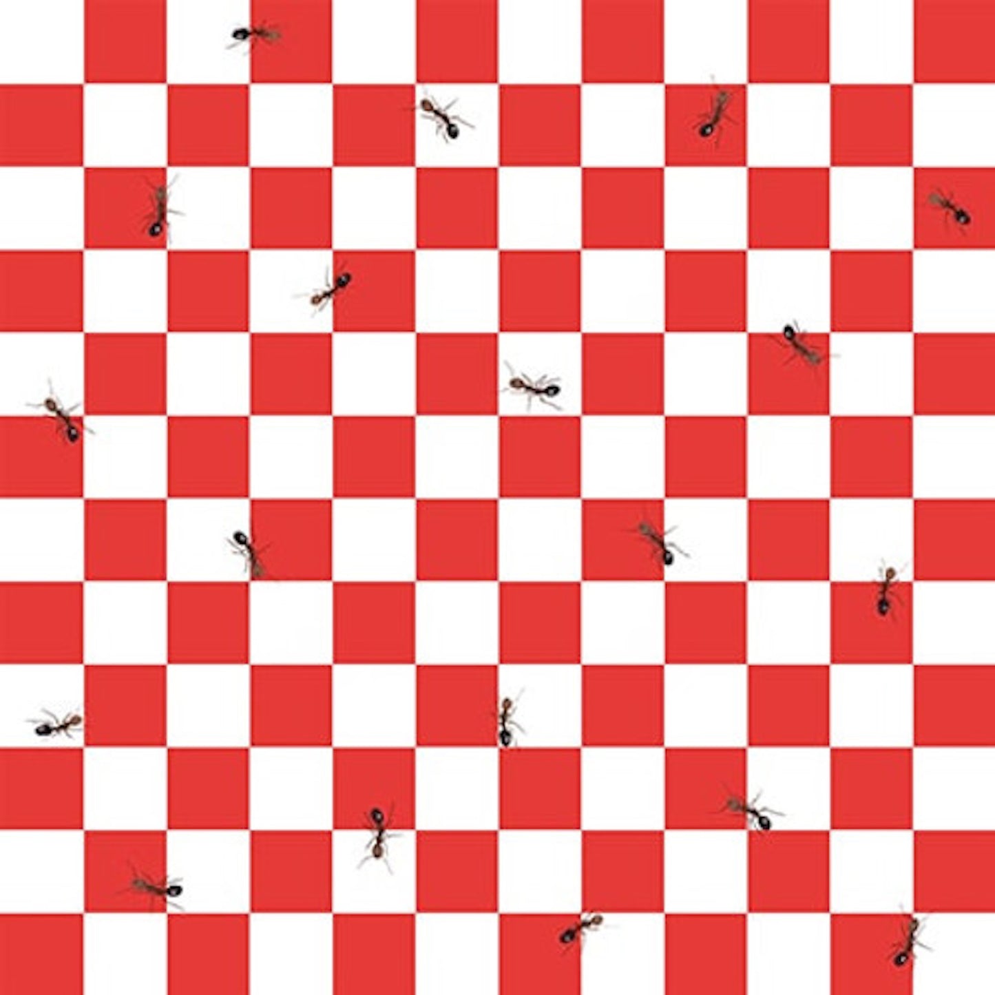 Grill Master- Red Check with Ants: Sold by the 1/2 yard.