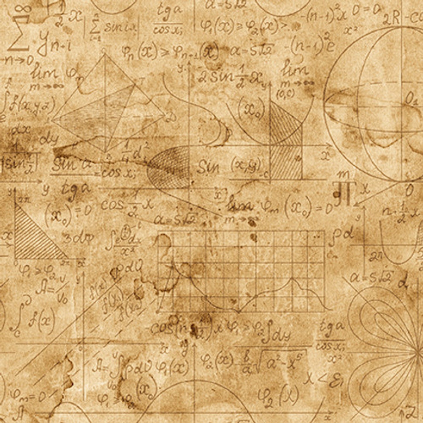 Full Steam Ahead- Parchment Equations: Sold by the 1/2 yard.