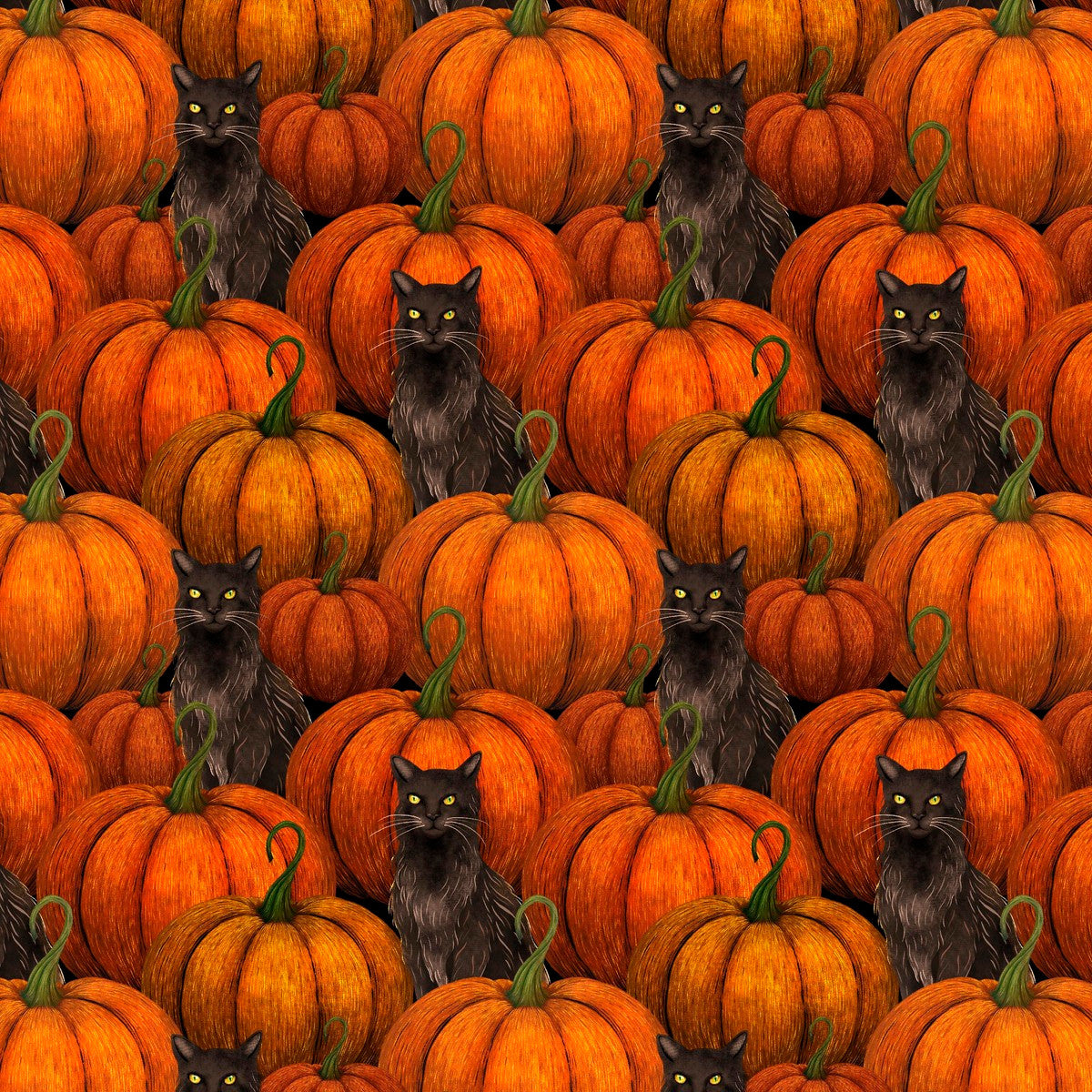 Haunted Harvest- Orange Pumpkins and Black Cats: Sold by the 1/2 yard