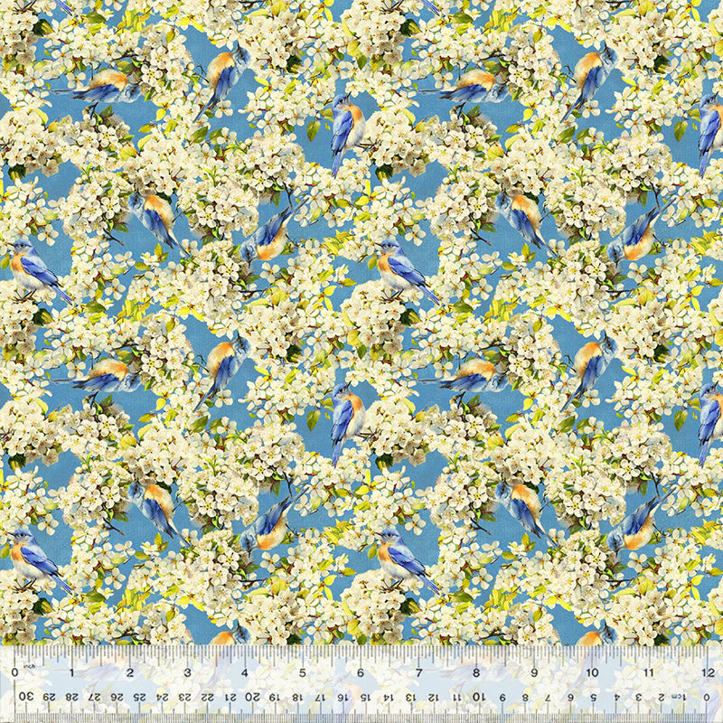 All Missouri Shop Hop 2025- Sky Aerial Explorers: Sold by the 1/2 yard. PREORDER