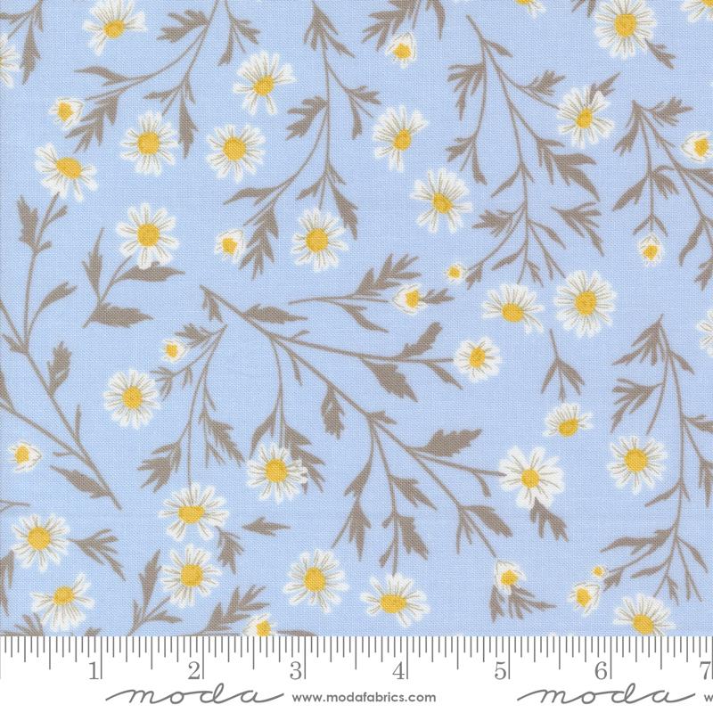 Sun Drenched- Sky Wild Daisy: Sold By The 1/2 Yard