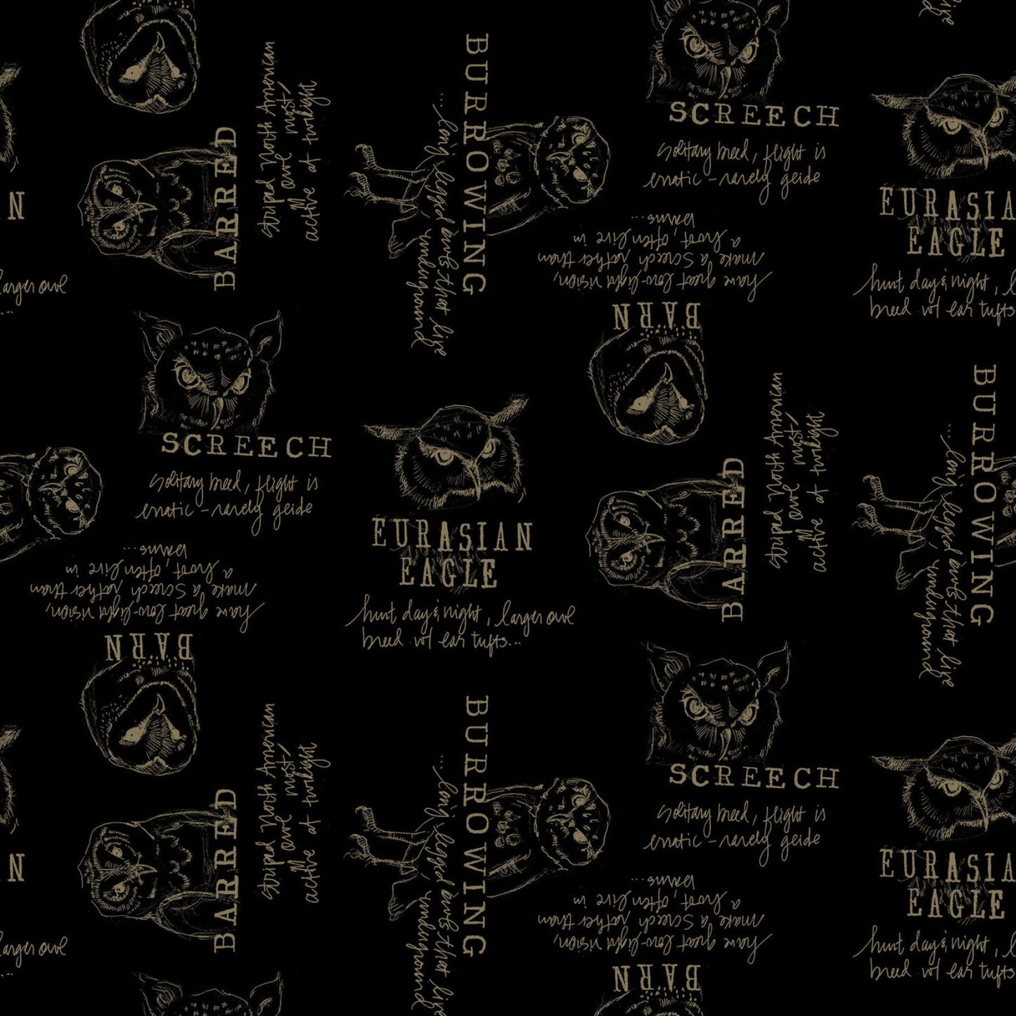 Night Whispers- Black Words: Sold by the 1/2 yard