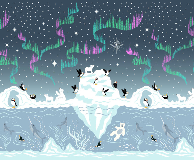 Where the Sky Dances- Multi with Pearl, Double Edge Border Print: Sold by the 1/2 yard
