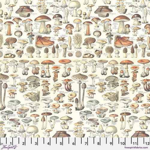 Tim Holtz Palette Program Fat Quarter Bundle- ORANGE