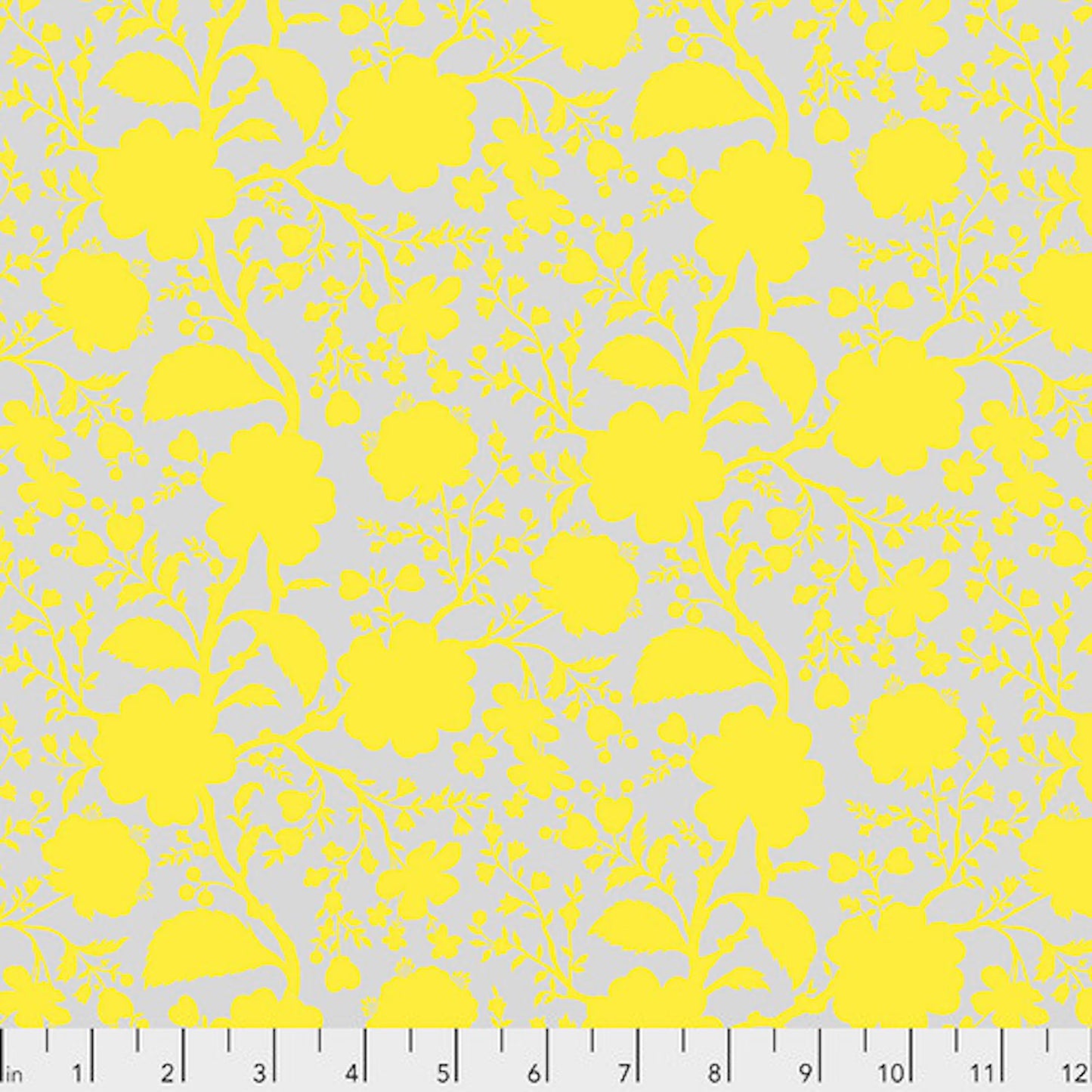 True Colors- Daisy Wildflower