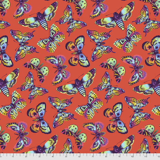 Daydreamer- Butterfly Kisses Papaya