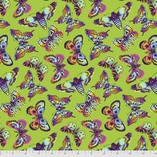 Daydreamer- Butterfly Kisses Avocado