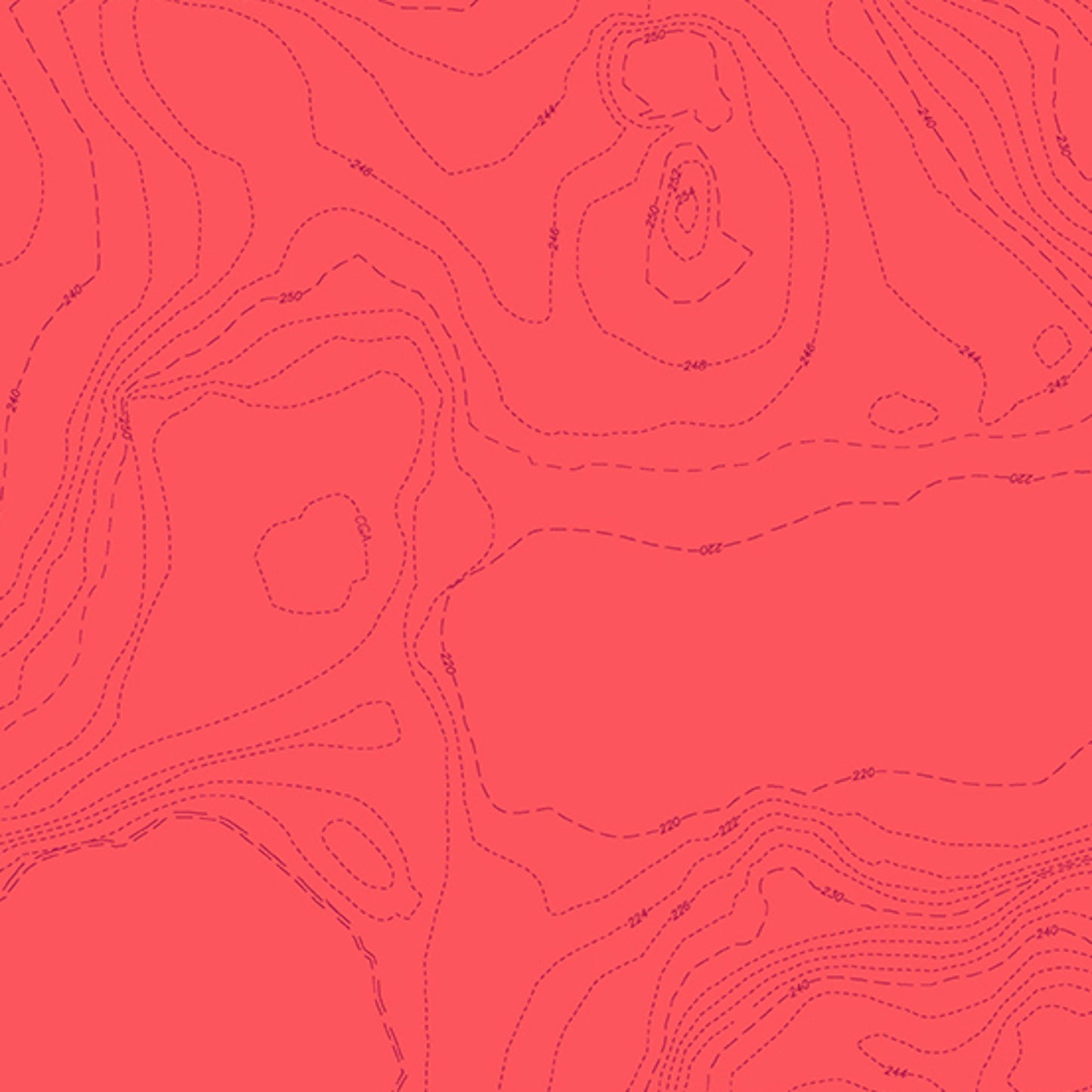 Wildflowers- Salmon Topography by Alison Glass