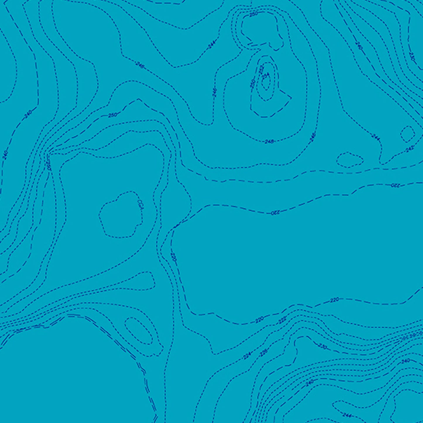 Wildflowers- Lake Topography by Alison Glass