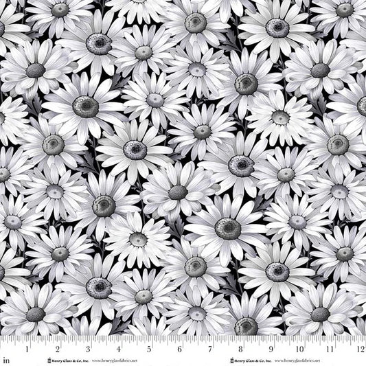 Scarlet's Treasure- Black Daisies: Sold by the 1/2 yard.