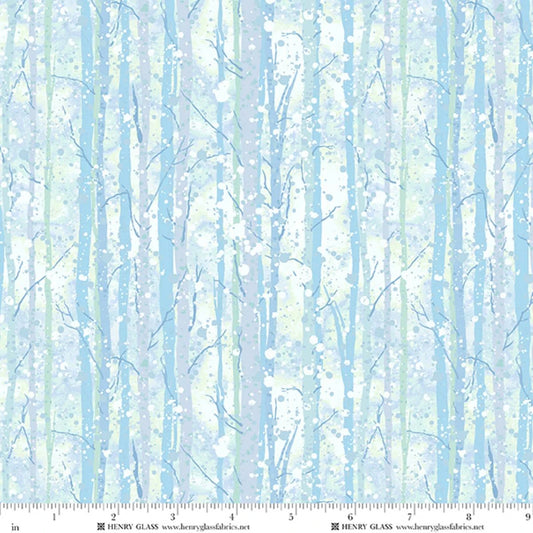 Beyond the Pines- Icy Blue Aspen Tree Texture