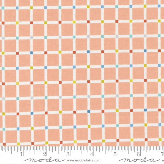 Delivered with Love- Peachy Grid Check: Sold by the 1/2 yard
