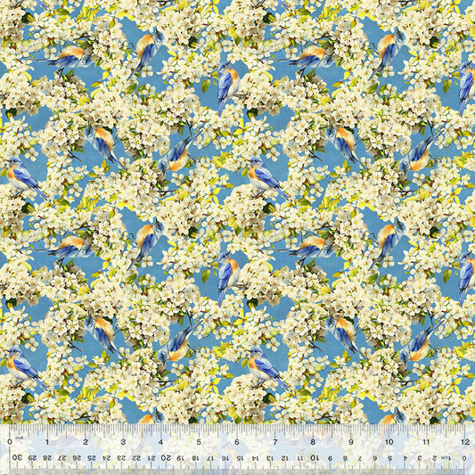All Missouri Shop Hop 2025- Sky Aerial Explorers: Sold by the 1/2 yard. PREORDER