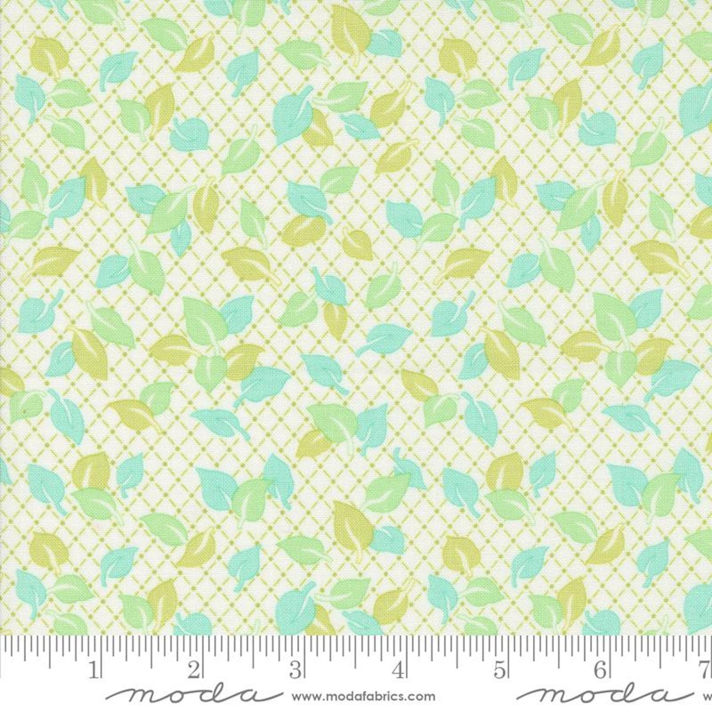 Jelly & Jam- Green Apple Jelly Toppers: Sold By The 1/2 Yard