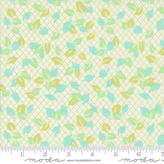 Jelly & Jam- Green Apple Jelly Toppers: Sold By The 1/2 Yard