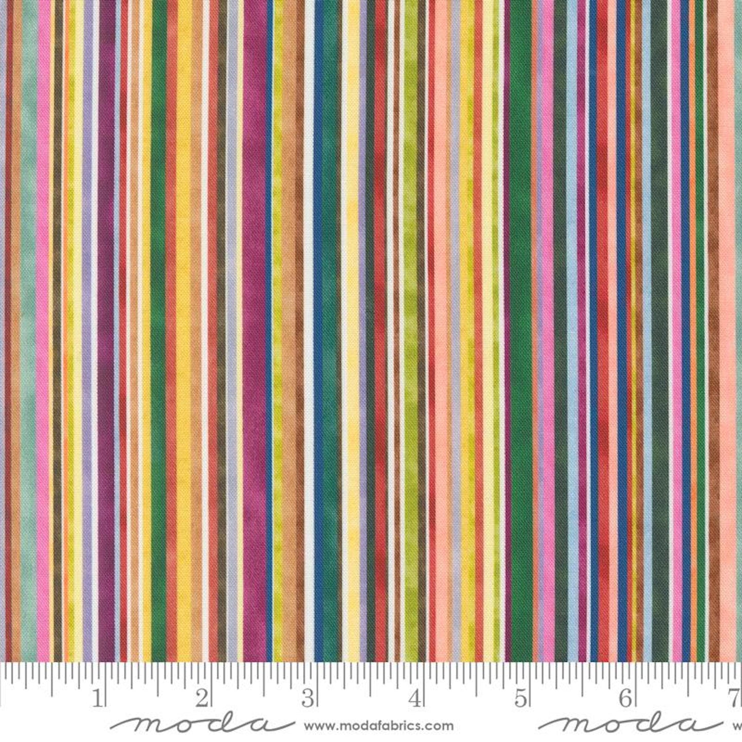 Floribunda- Rainbow Jive Train Stripes: Sold By The 1/2 Yard.