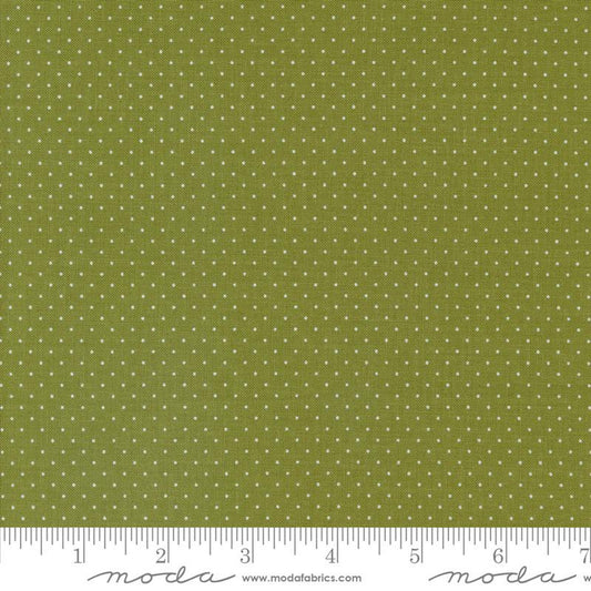 Enchantment- Garden Swiss Dot: Sold By The 1/2 Yard