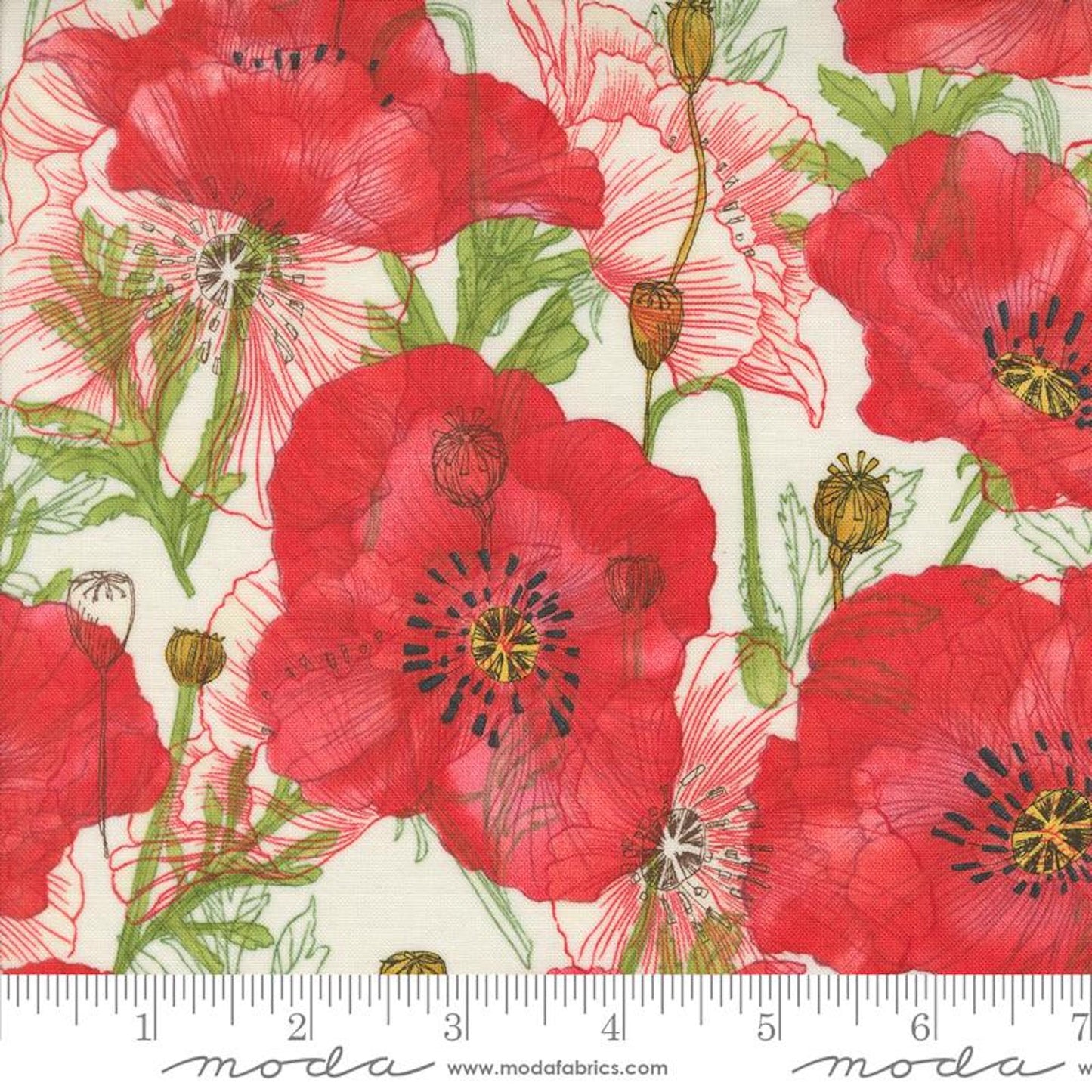 Superbloom- Cream Poppy: Sold by the 1/2 yard