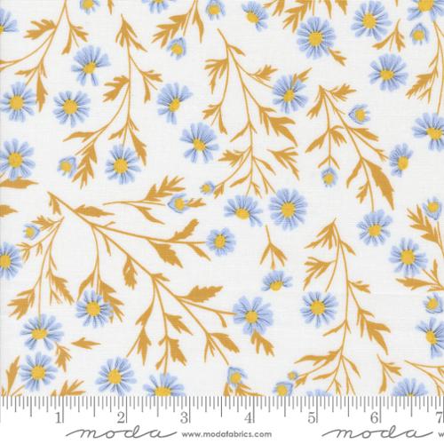 Sun Drenched- Cloud Wild Daisy: Sold By The 1/2 Yard
