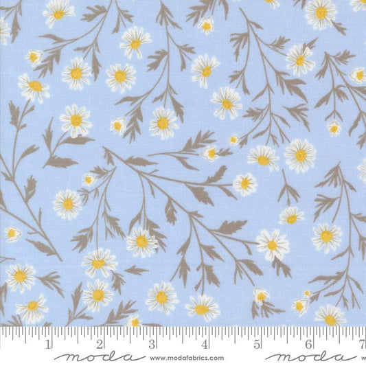 Sun Drenched- Sky Wild Daisy: Sold By The 1/2 Yard
