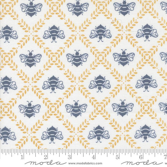 Sun Drenched- Cloud Gathering Honey: Sold By The 1/2 Yard