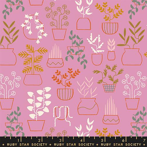 Calathea- Kiss Plant Life: Sold by the 1/2 Yard
