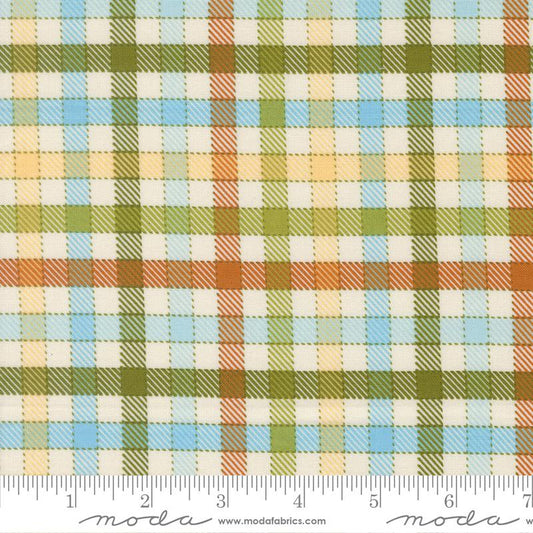 Animal Park Fun- Iguana Baby Check: Sold by the 1/2 yard