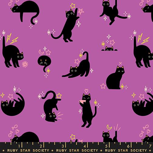 Freaky Familiar- Witchy Catwalk: Sold by the 1/2 Yard
