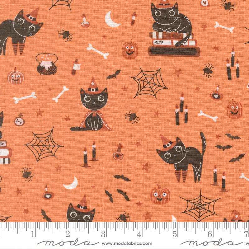 Purrs and Boos- Pumpkin Cats: Sold By The 1/2 Yard