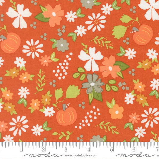 Birch & Willow- Spice Pumpkin Patch: Sold by the 1/2 yard
