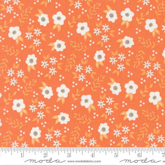 Birch & Willow- Pumpkin Mums: Sold by the 1/2 yard