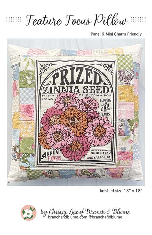 Feature Focus Pillow Pattern