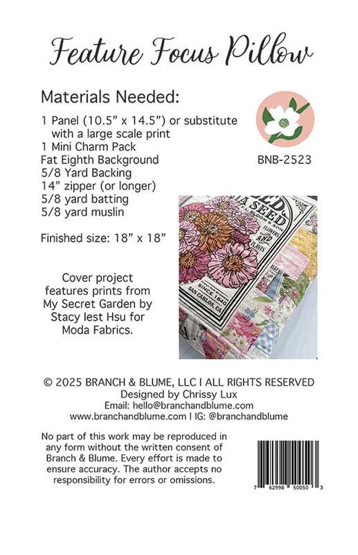 Feature Focus Pillow Pattern