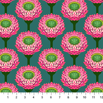 Iconic- Bursting Strawflower: Sold by the 1/2 yard