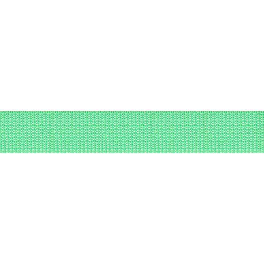 PolyPro 1" Webbing- Mint: Sold By the Yard- Cut Continuously