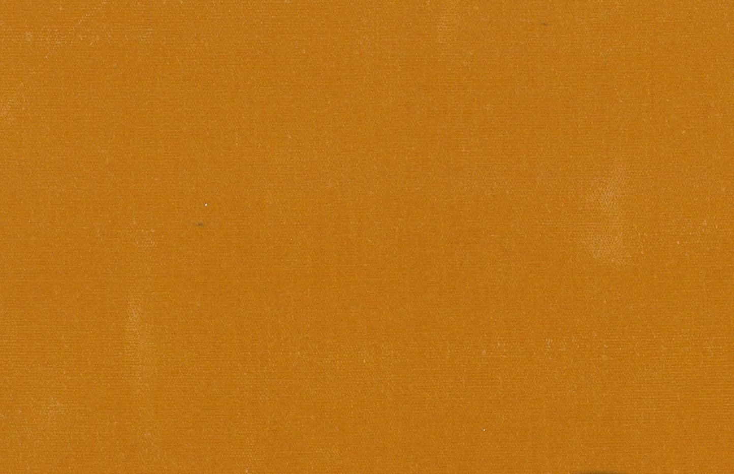 Waxed Canvas- Amber: Sold by the 1/2 yard.