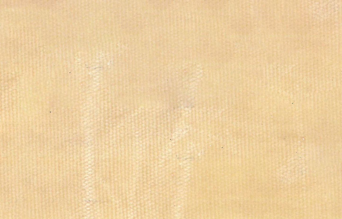 Waxed Canvas- Cream: Sold by the 1/2 yard.