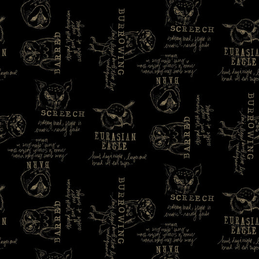 Night Whispers- Black Words: Sold by the 1/2 yard