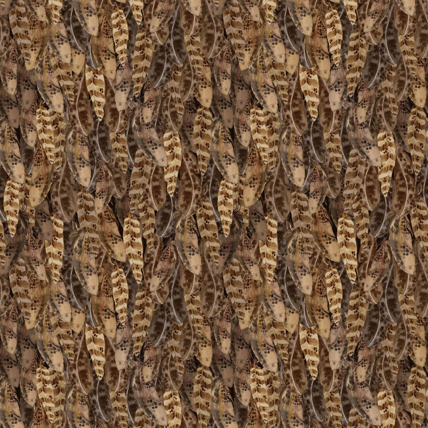 Night Whispers- Dark Caramel Feathers: Sold by the 1/2 yard
