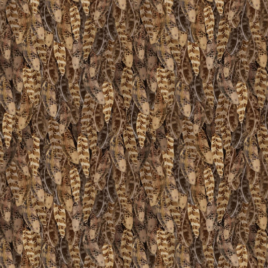 Night Whispers- Dark Caramel Feathers: Sold by the 1/2 yard