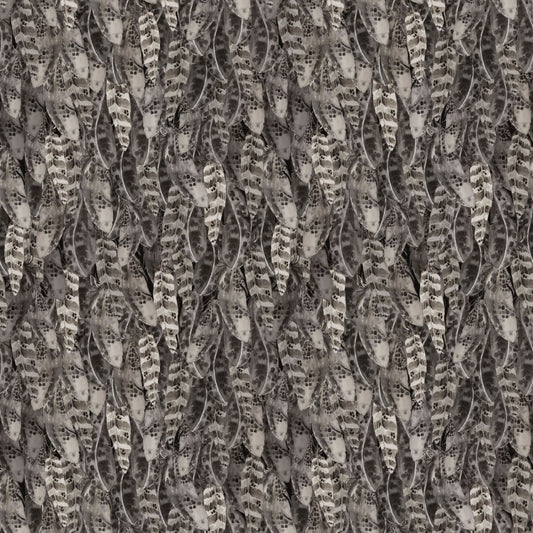 Night Whispers- Dark Gray Feathers: Sold by the 1/2 yard