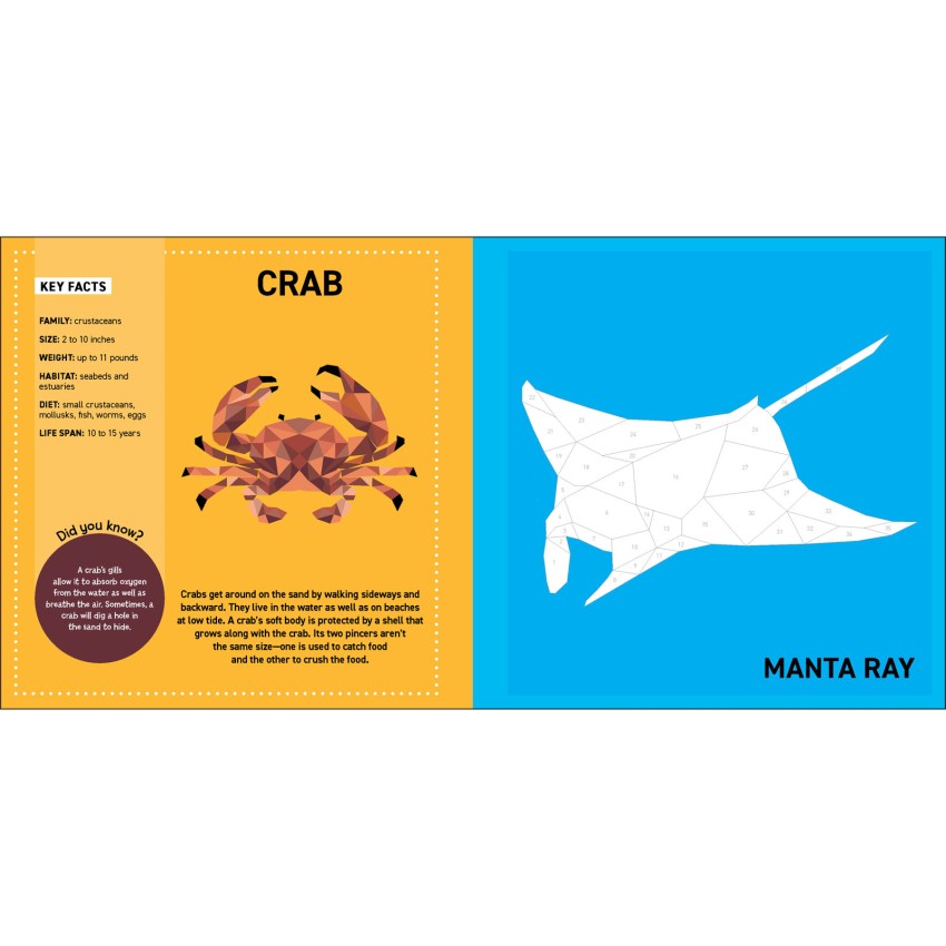 Ocean Animals Sticker Painting Book