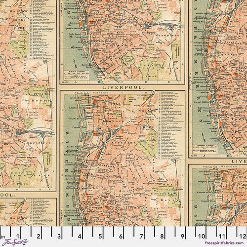 Tim Holtz Palette Program- Orange Maps: Sold by the 1/2 yard