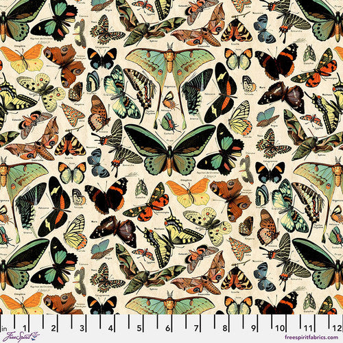 Tim Holtz Palette Program- Teal Butterflies: Sold by the 1/2 yard