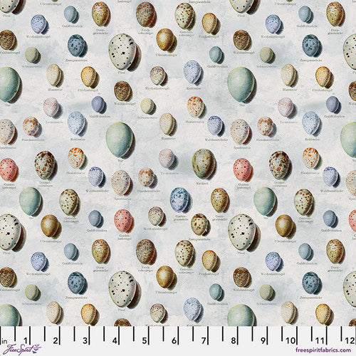 Tim Holtz Palette Program- Blue Eggs: Sold by the 1/2 yard