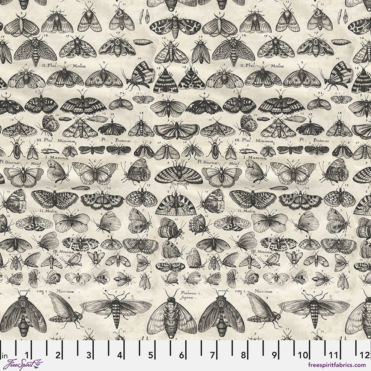 Tim Holtz Palette Program- Charcoal Moths: Sold by the 1/2 yard