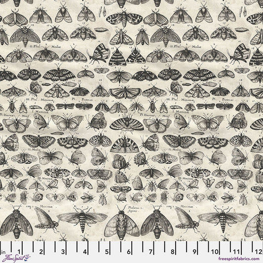 Tim Holtz Palette Program- Charcoal Moths: Sold by the 1/2 yard