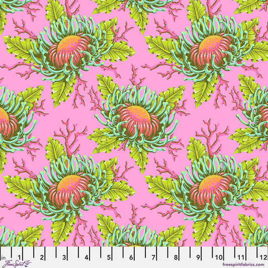 Floral Reef- Coralline Friends & Anemones: Sold by the 1/2 yard *PREORDER