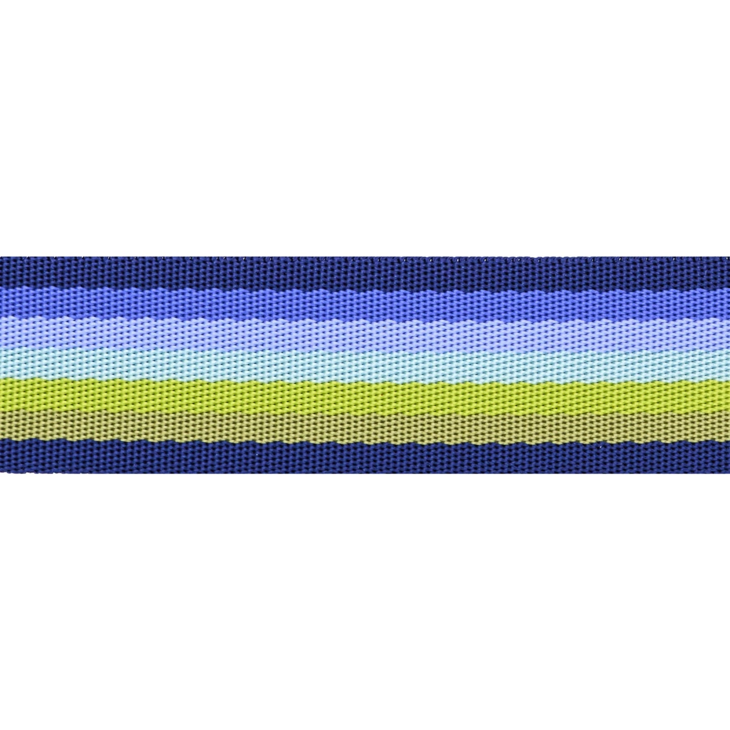 Floral Reef- Marine Smooth Sailing 1.5" Webbing: Sold By the Yard